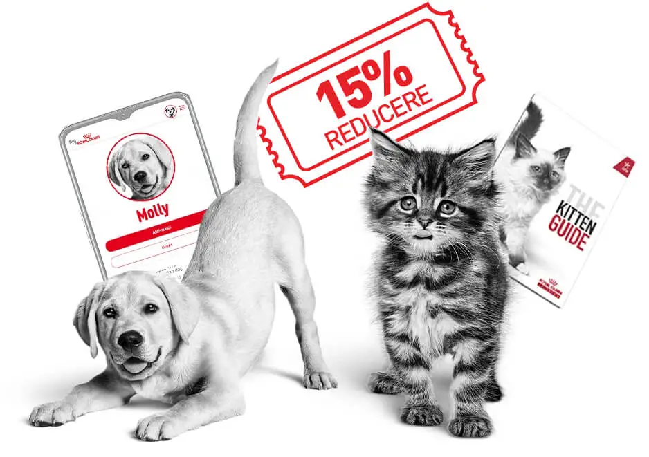 Royal Canin
